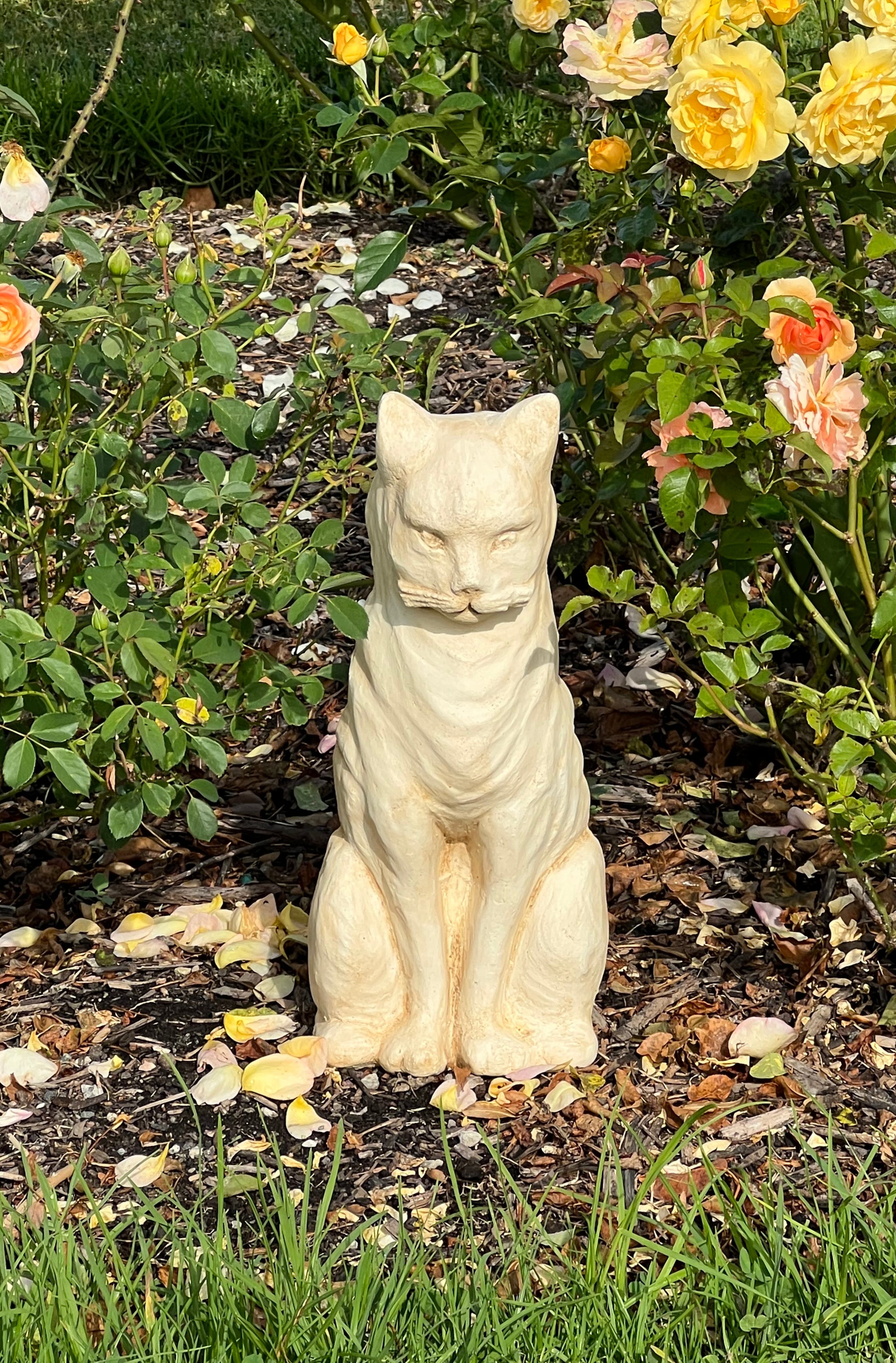 The Faraway Garden Aristocat is a delightful seated cat statue that looks wonderful against a wall, nestled in an herbaceous border or added to group of planters in a kitchen garden. These seated cat statues, particularly the "maneki-neko" or "beckoning cat" in Japanese and Chinese cultures, are believed to bring good luck and fortune, often displayed in businesses to attract customers and prosperity.