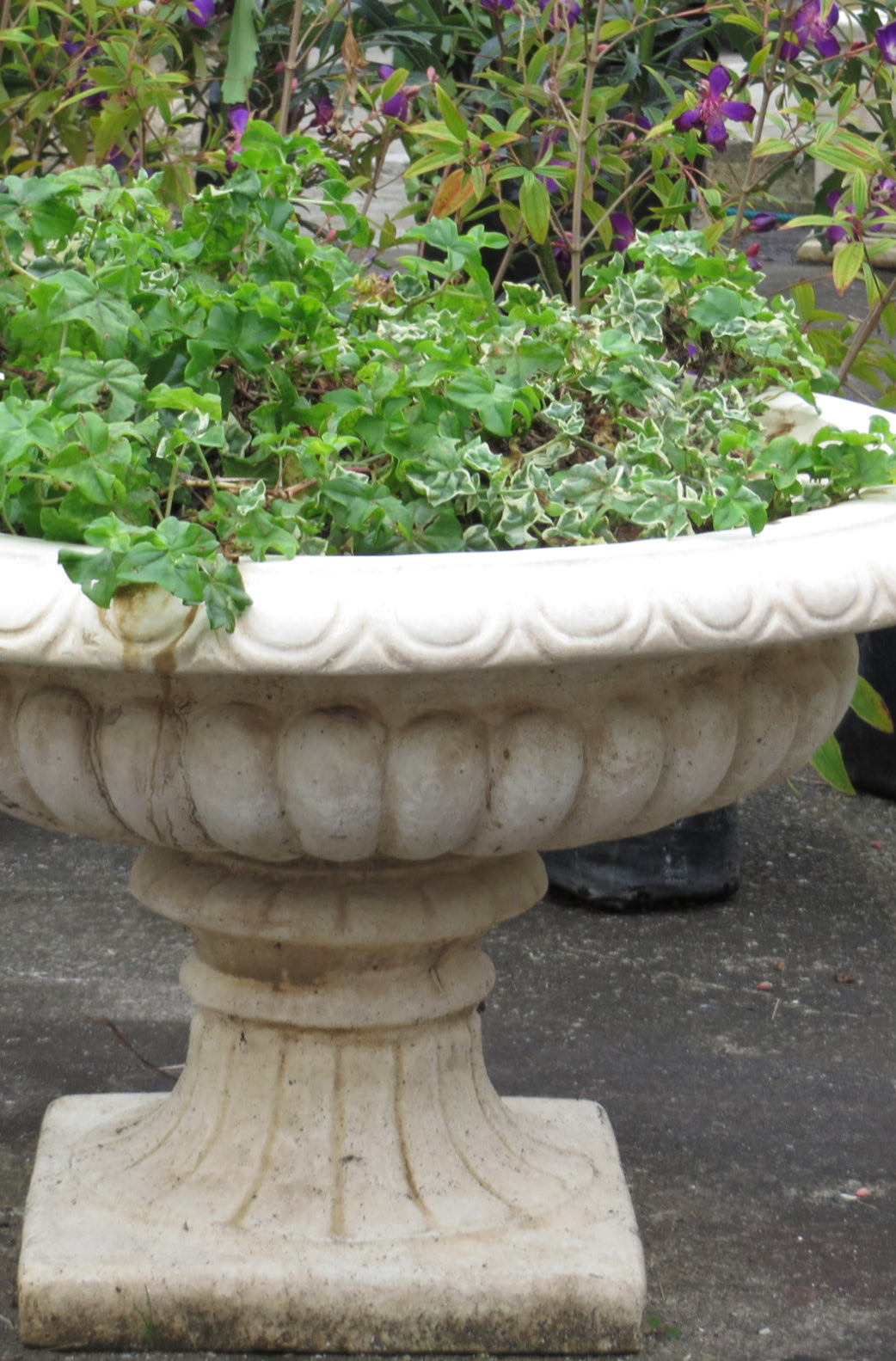 The Faraway Garden Cheshire Jardinière is a classically elegant planter inspired by the distinctive designs of the Regency period, featuring egg-and-dart detailing to the rim and gadrooning to the bowl.  The urn is the perfect ornament for lining terraces and steps or can be used as a focal point in a garden walkway when placed on a Faraway Garden pedestal to gain extra height and impact.