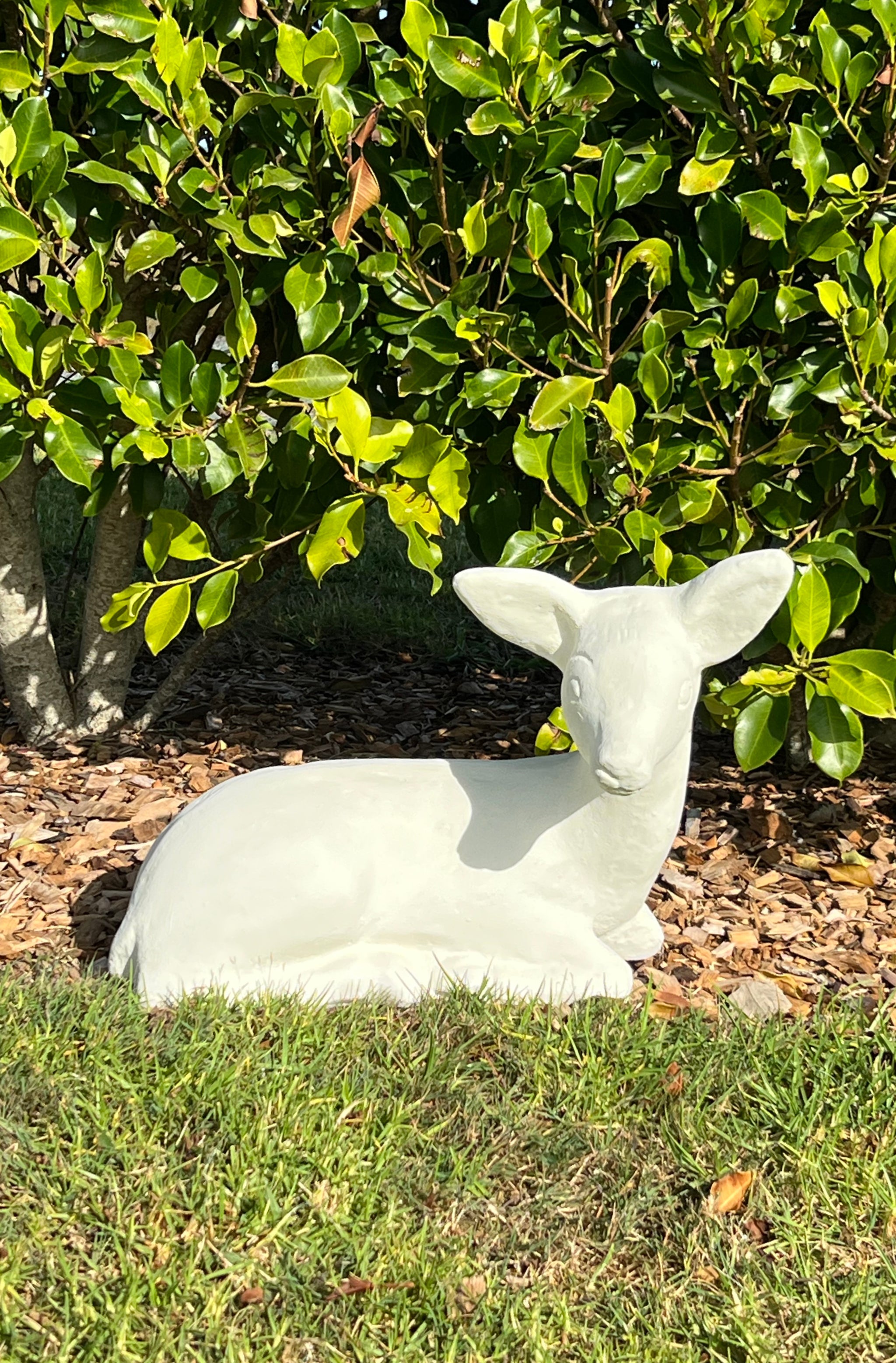 Faraway Garden Little Fawn