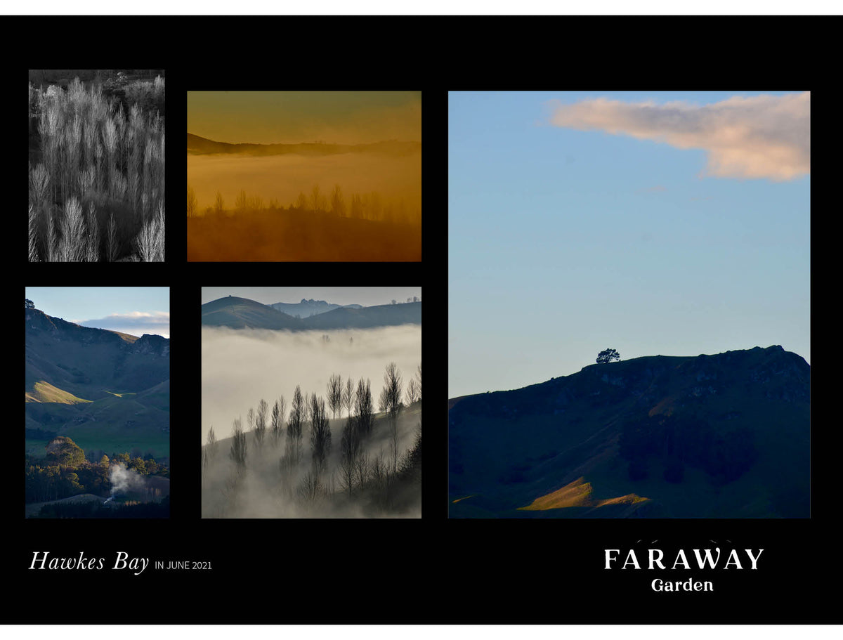 Faraway Garden goes to the Hawkes Bay