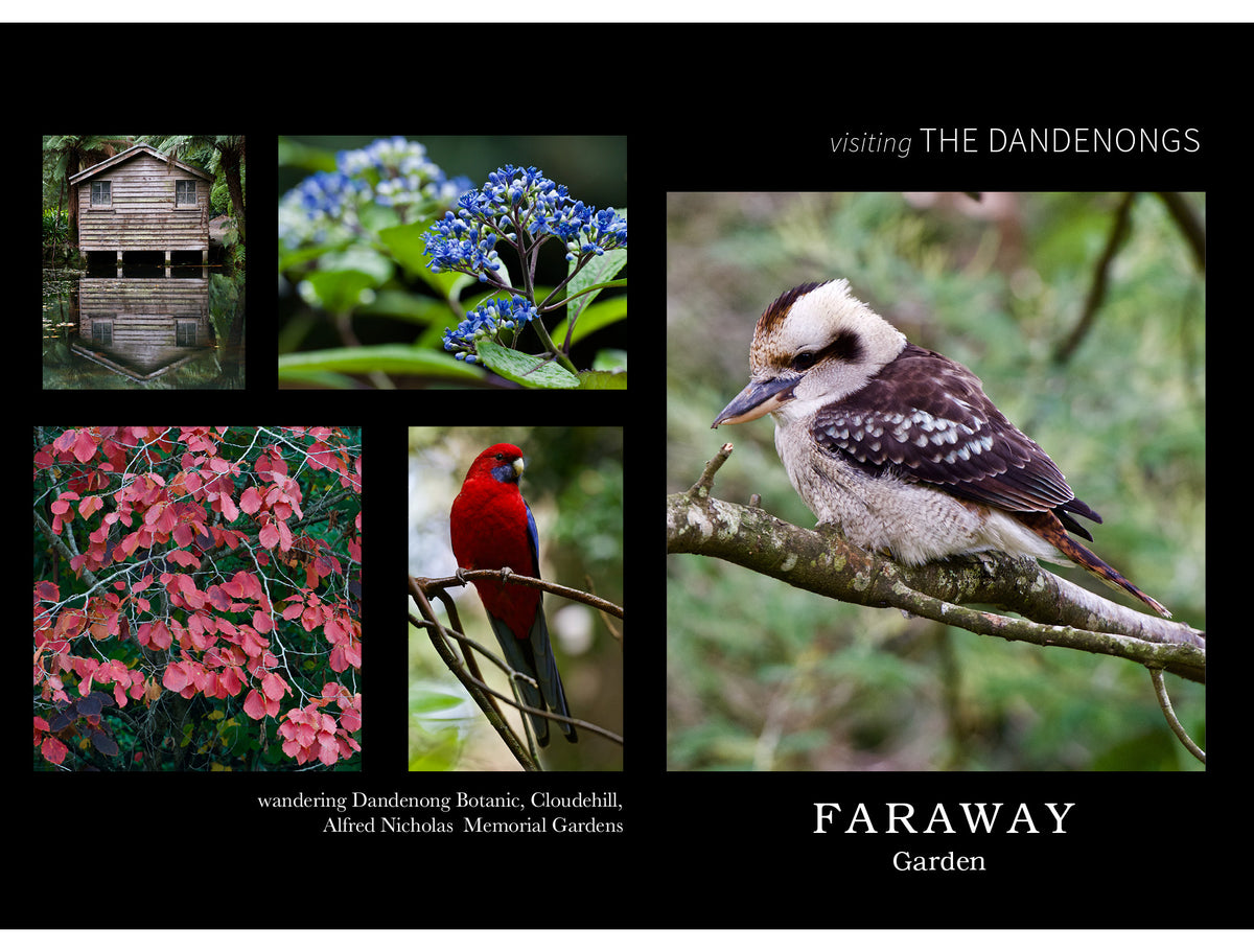 Faraway Garden goes to The Dandenongs