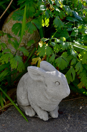 Faraway Garden Bunny