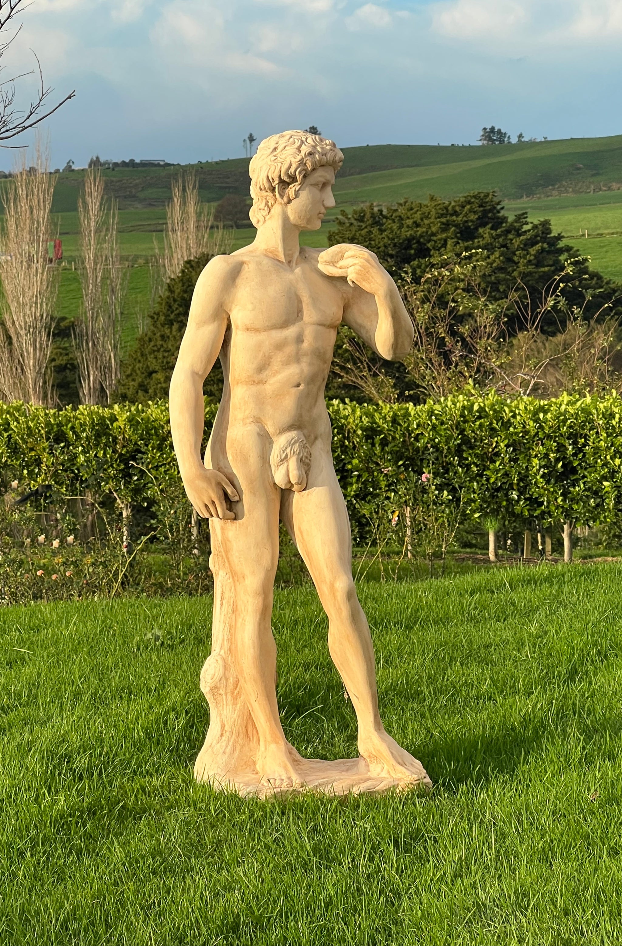Faraway Garden David - Large