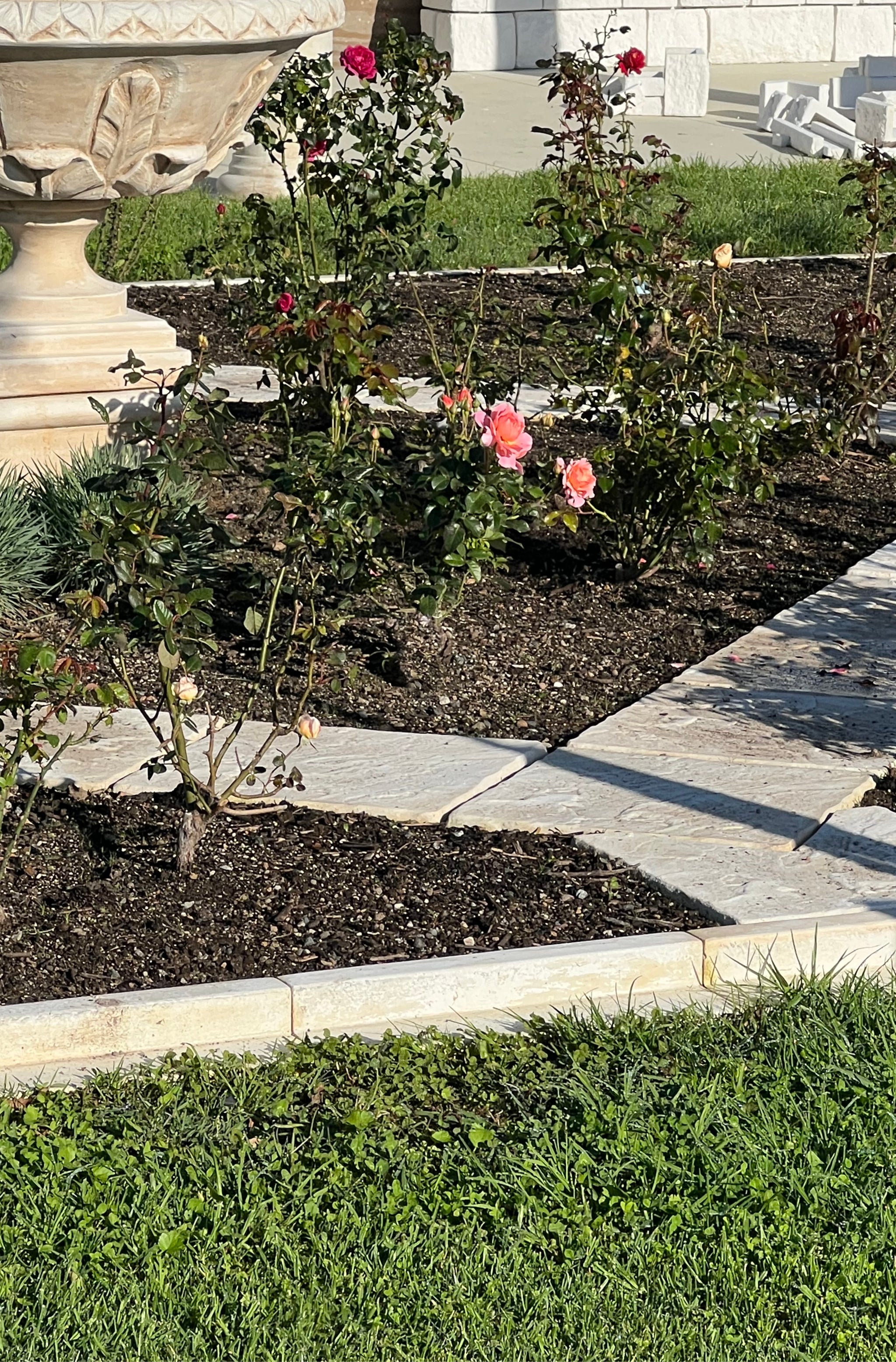 Faraway Garden Farrand Edging