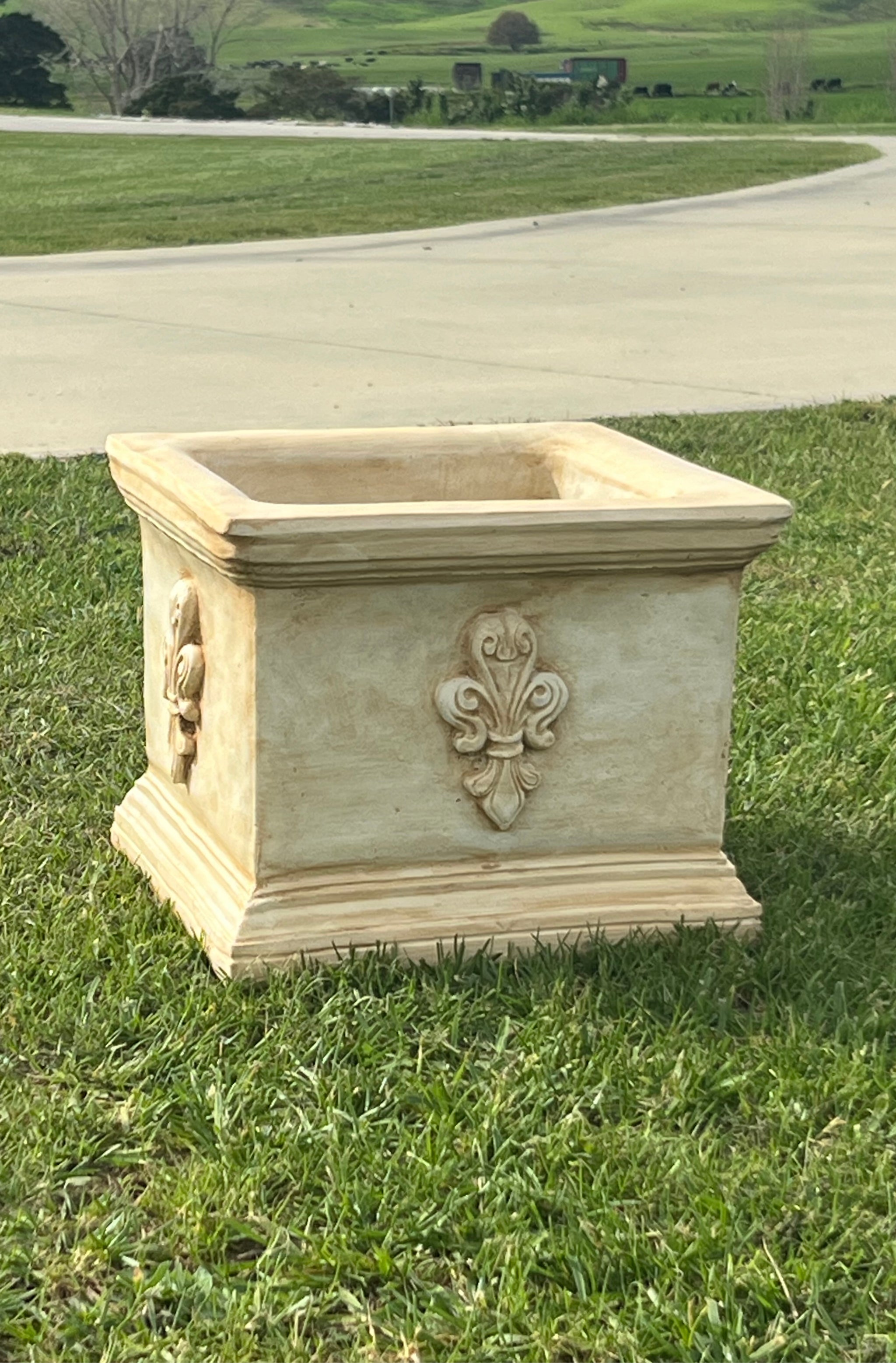 Faraway Garden Fleur du Lis Square Planter