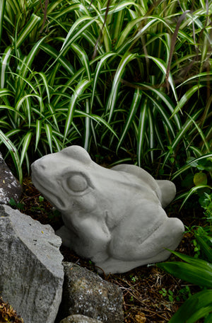 Faraway Garden Frog