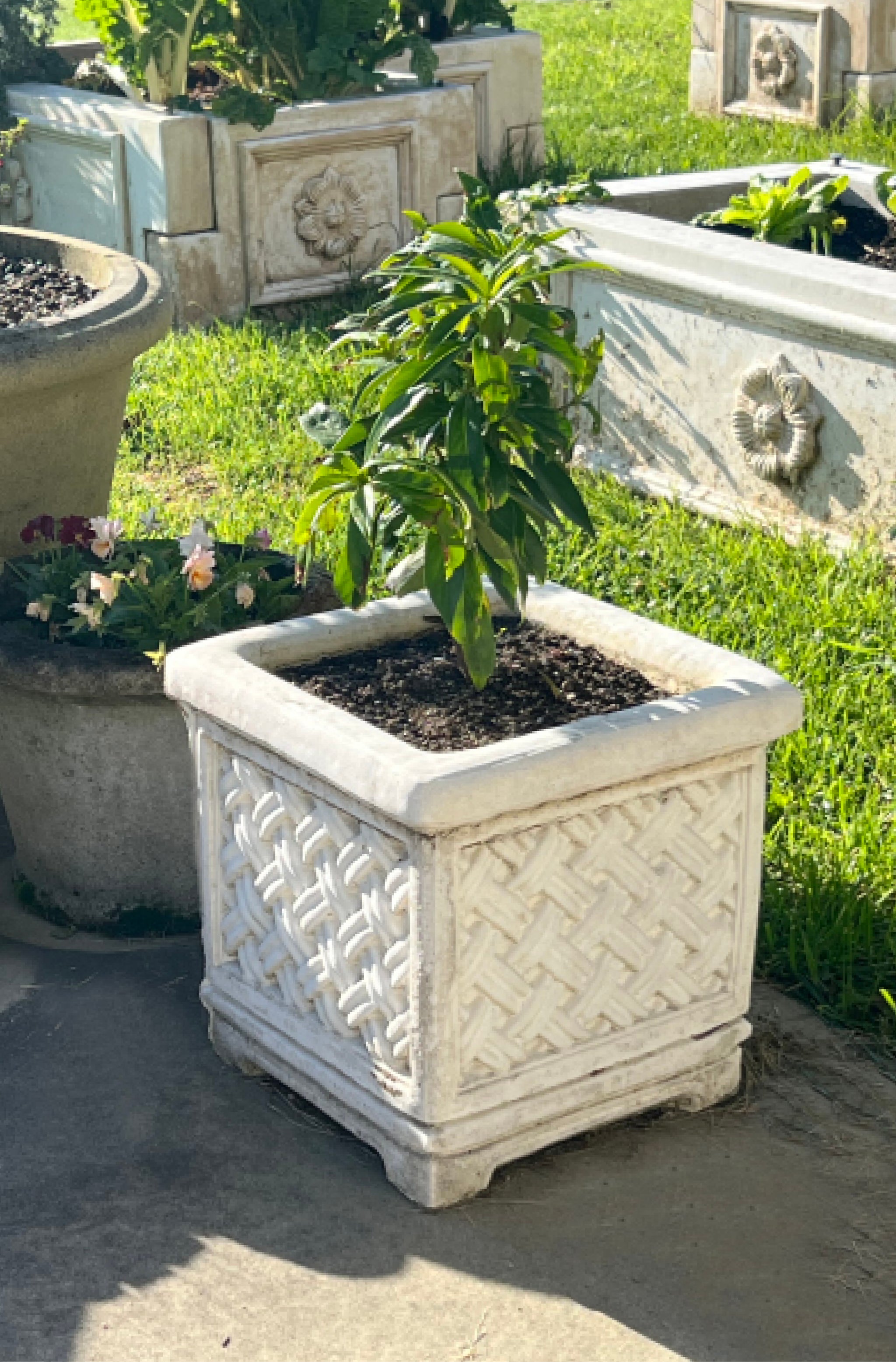 lattice planter pot Faraway Garden Lattice Square Planter
