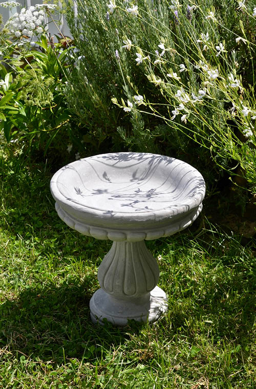 Bird Bath NZ | Concrete Bird Baths | Faraway Garden