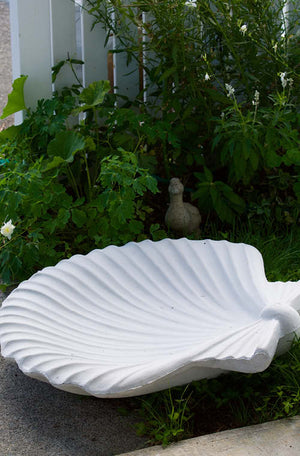 Faraway Garden Shell