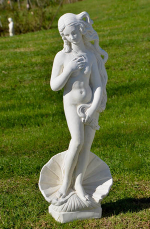 Faraway Garden Birth of Venus