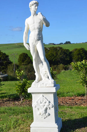 The Faraway Garden David is a statue replica of the famous Renaissance masterpiece by Florentine artist Michelangelo. He is a Renaissance interpretation of a common ancient Greek theme of the standing heroic male nude and has become one of the most recognised works of Renaissance sculpture, and a symbol of strength and youthful beauty. This statue looks wonderful raised on one of our pedestals.