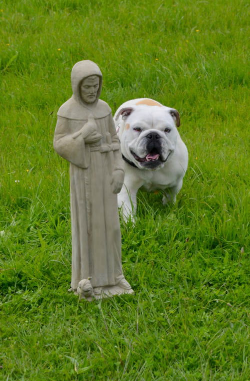 Garden Statues NZ Buy Garden Statues Online NZ Faraway Garden