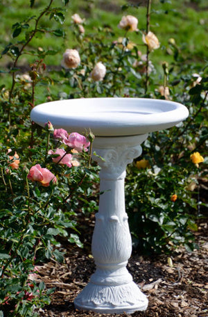 Faraway Garden Larkspur Bird Bath