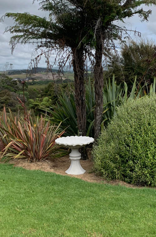 Bird Bath NZ | Concrete Bird Baths | Faraway Garden