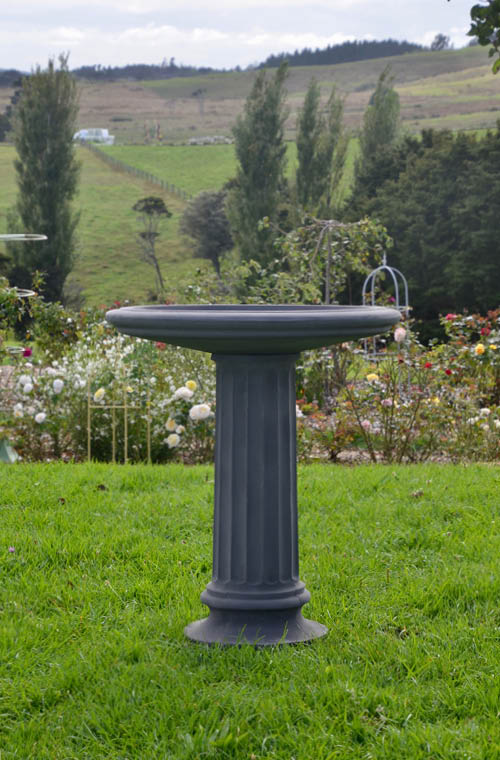 Bird Bath NZ | Concrete Bird Baths | Faraway Garden