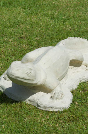 Faraway Garden Tuatara