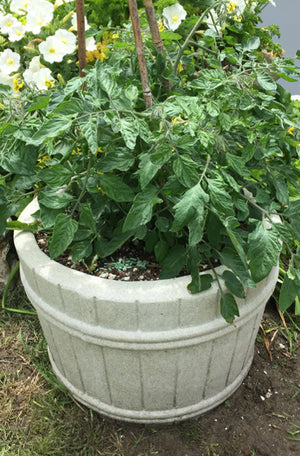 Faraway Garden Wine Barrel